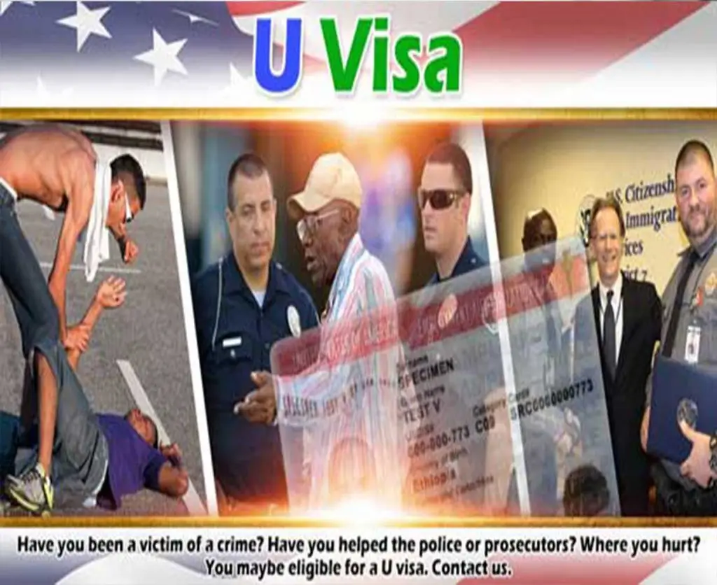 SEE IF YOU QUALIFY FOR U-VISA